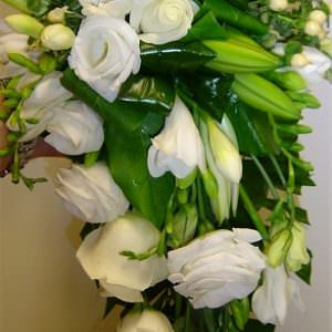 Séraphine