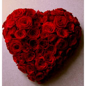 Coeur Rouge