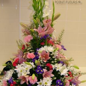 Iris