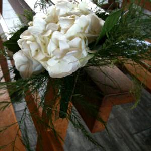 Banc d'église avec un Hortensia blanc