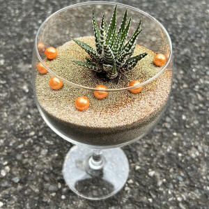 Terrarium