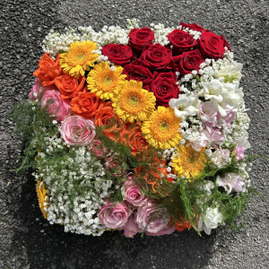 Coussin Carré