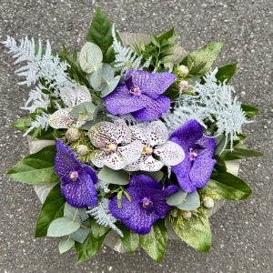 Bouquet de Vanda