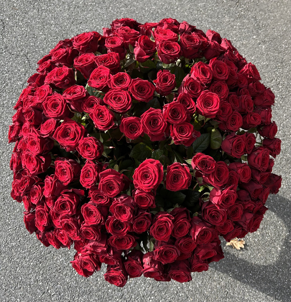 Point Roses Deluxe Bouquet de roses - Point Fleurs
