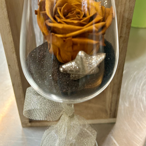 Rose éternelle