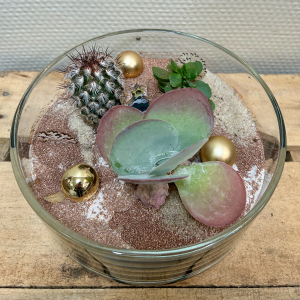 Terrarium
